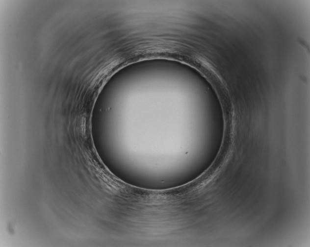 X0000099430777200805231652