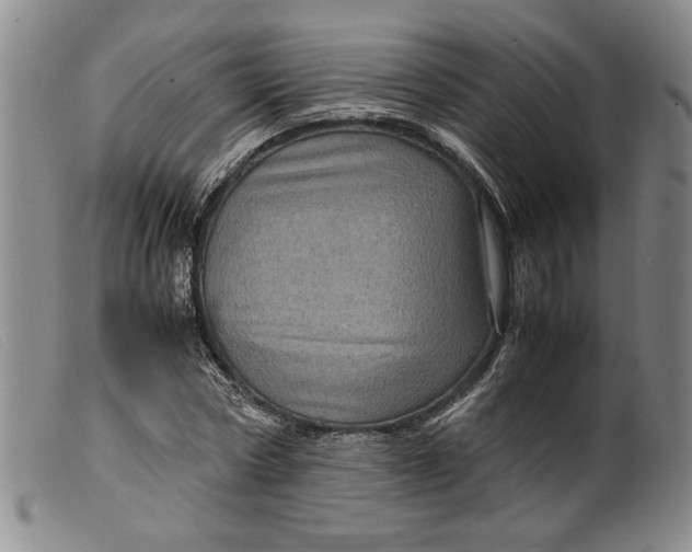X0000099430778200805231652