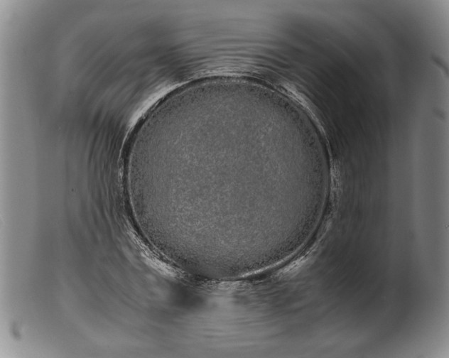 X0000099430779200805231652