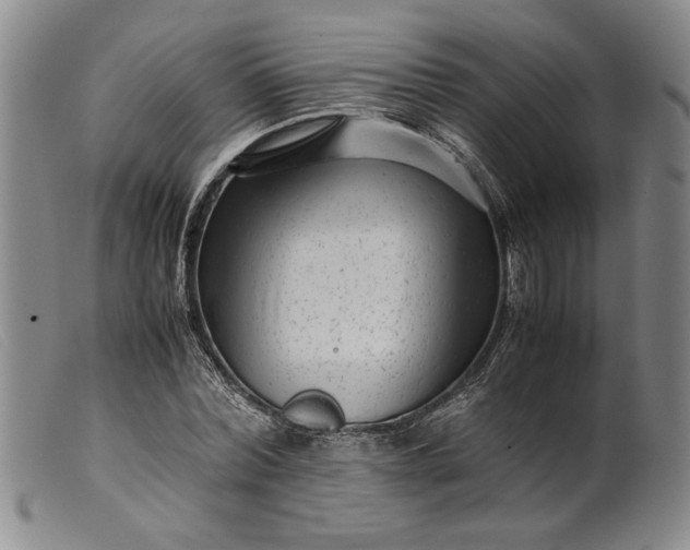 X0000099430780200805231652