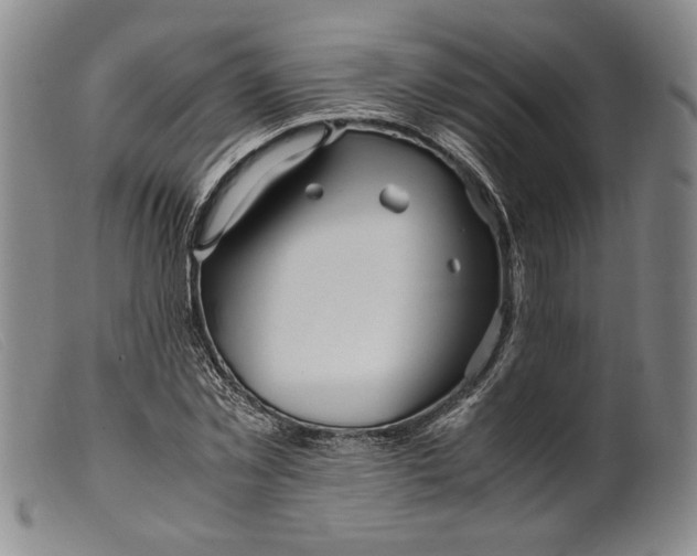 X0000099430781200805231652