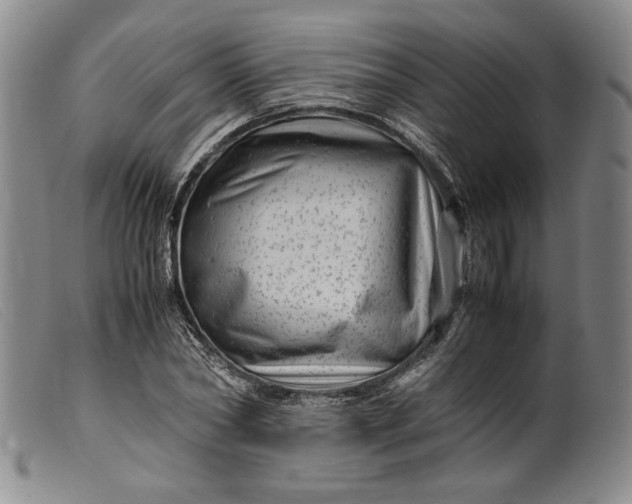 X0000099430782200805231652