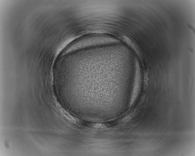 X0000099430787200805231652