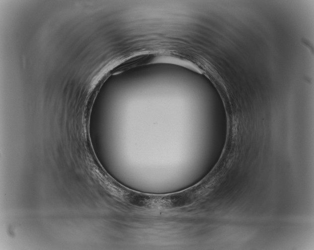 X0000099430789200805231652