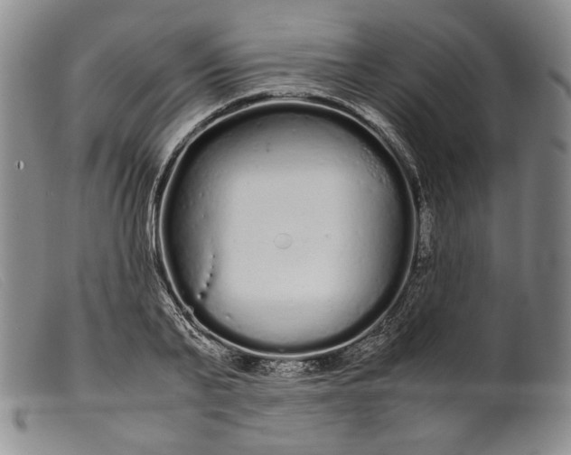 X0000099430791200805231652