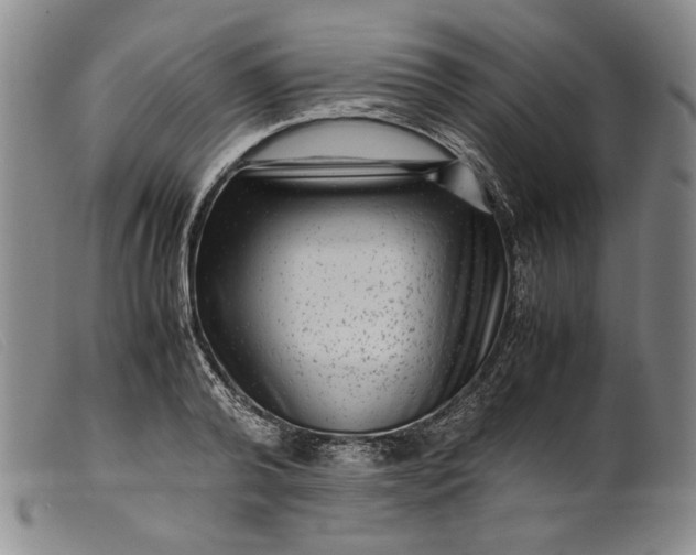 X0000099430792200805231652