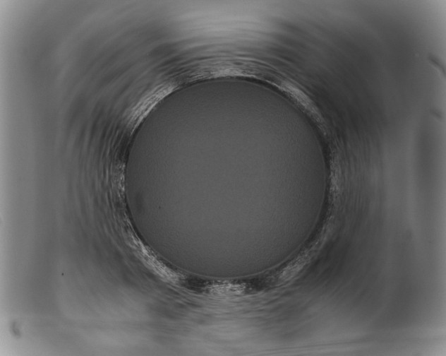 X0000099430793200805231652