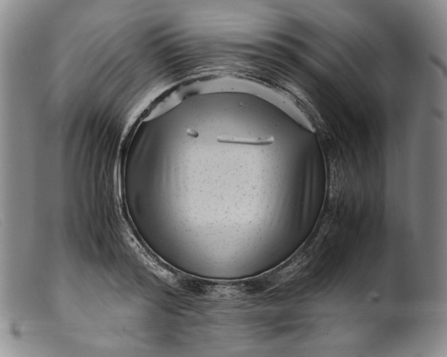 X0000099430796200805231652