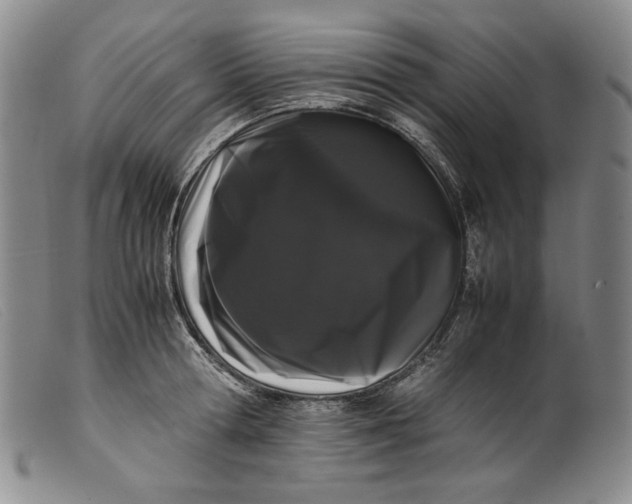 X0000099430802200805231652