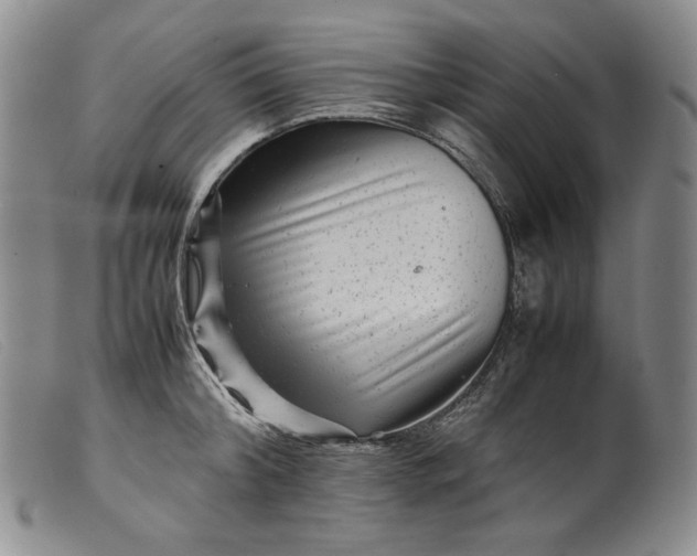 X0000099430804200805231652