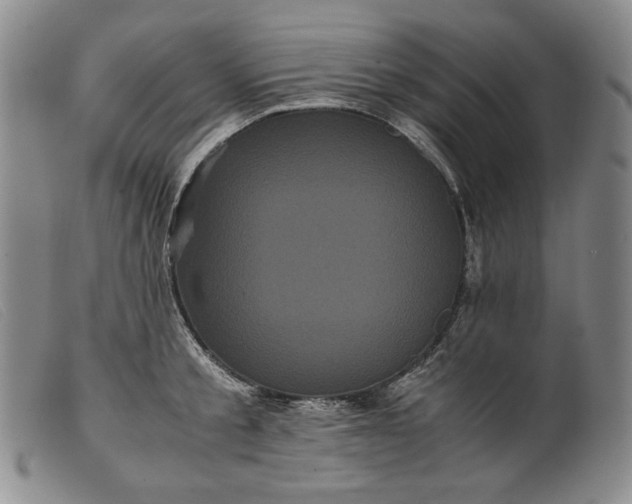 X0000099430805200805231652
