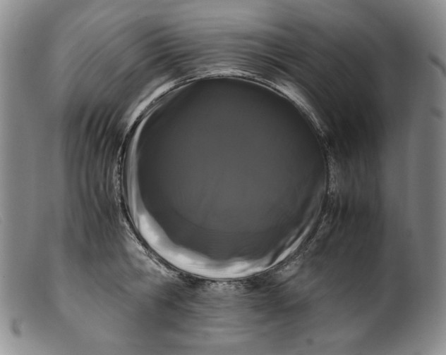 X0000099430806200805231652