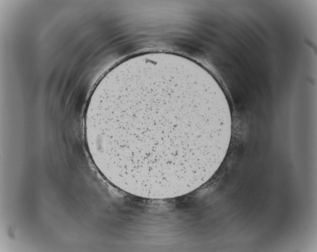 X0000099430807200805231652