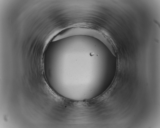 X0000099430808200805231652