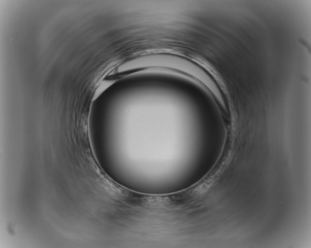 X0000099430809200805231652