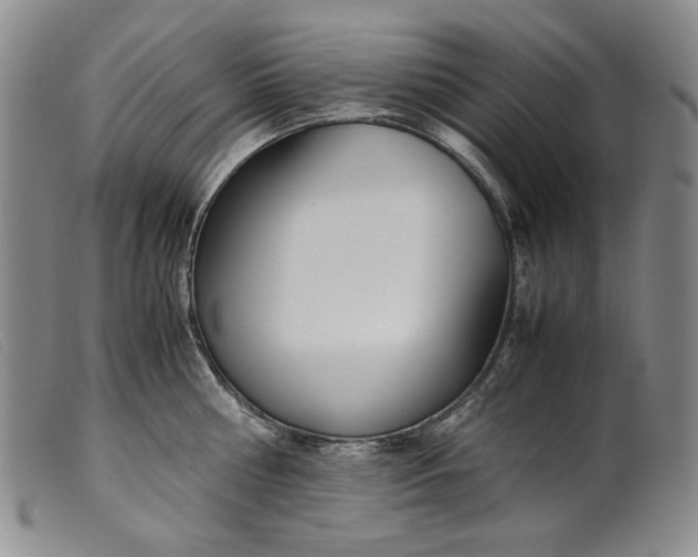 X0000099430810200805231652
