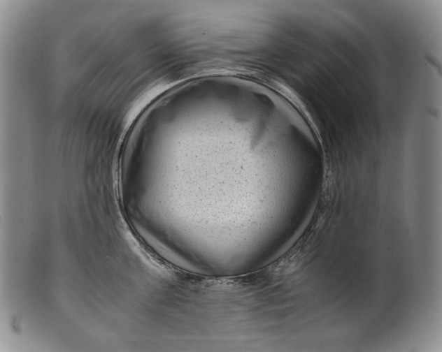 X0000099430811200805231652