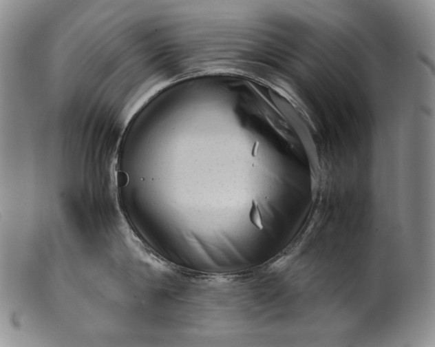 X0000099430814200805231652