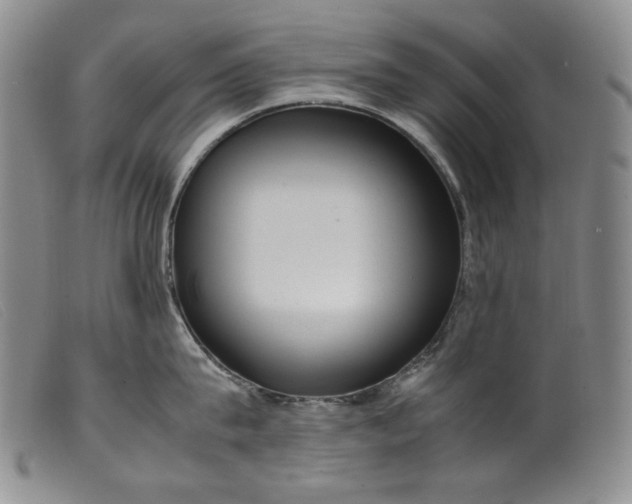 X0000099430815200805231652