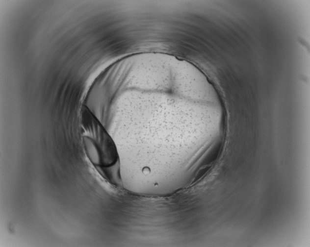 X0000099430816200805231652