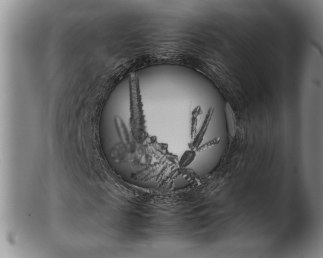 X0000099430817200805231651