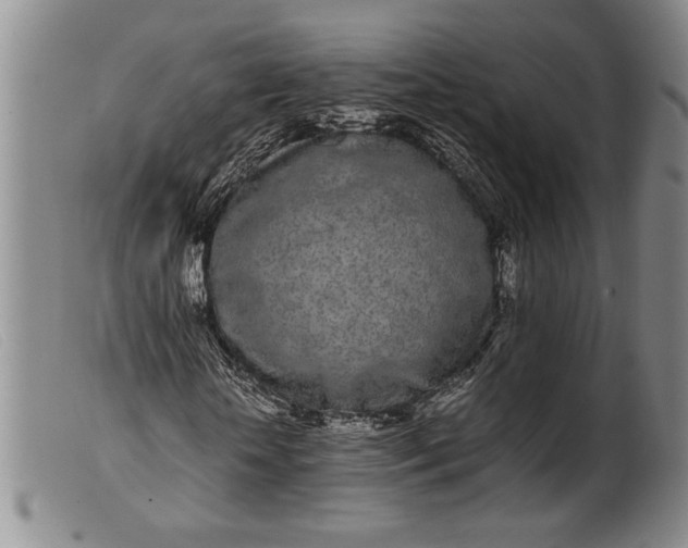 X0000099430818200805231651