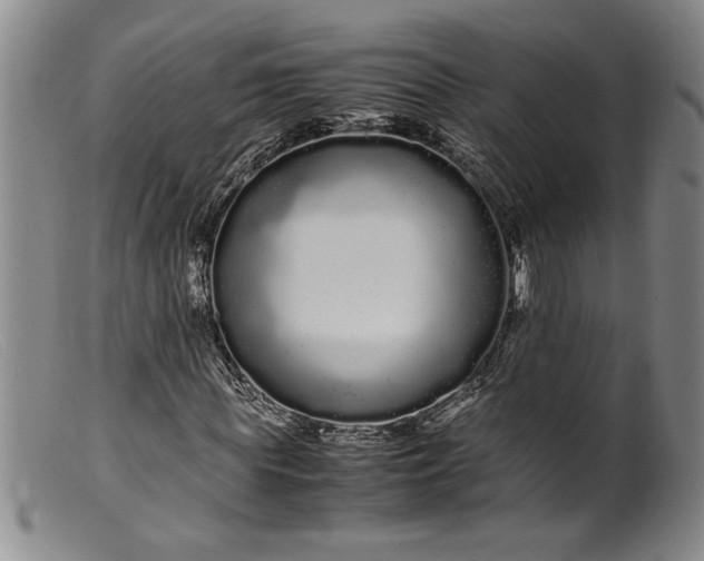 X0000099430819200805231651