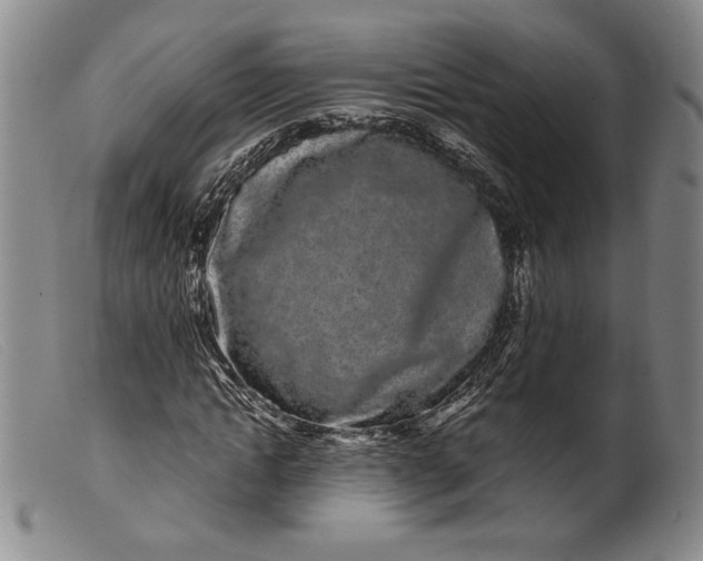 X0000099430822200805231651
