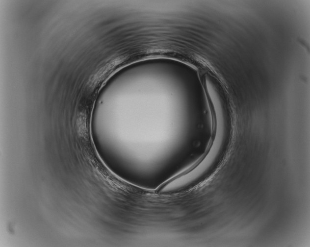 X0000099430825200805231651