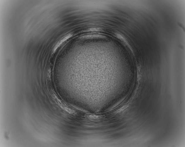 X0000099430827200805231651
