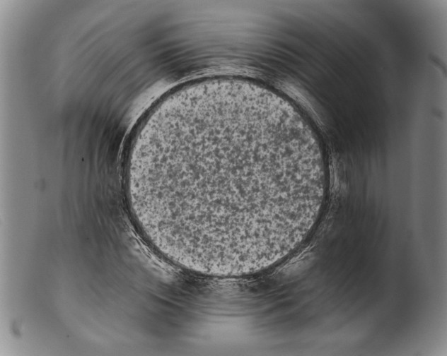 X0000099430828200805231651