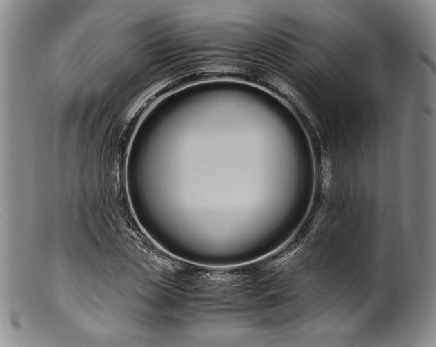 X0000099430829200805231651