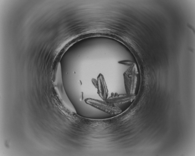 X0000099430830200805231651