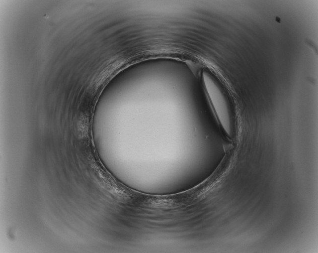 X0000099430833200805231651