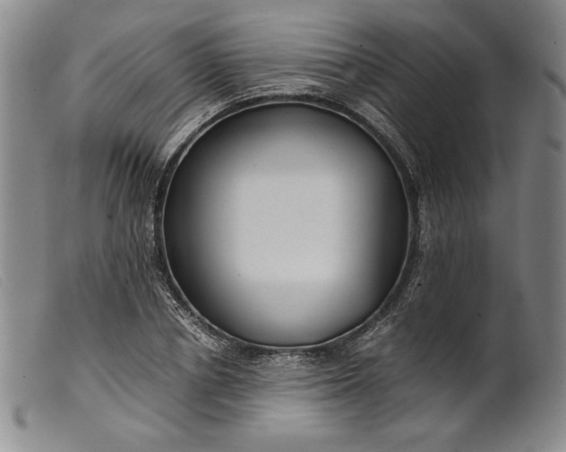 X0000099430834200805231651