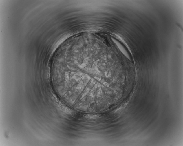 X0000099430835200805231651