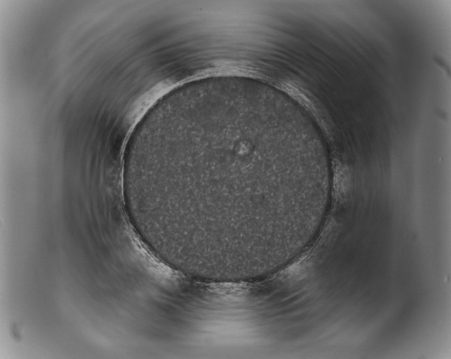 X0000099430836200805231651
