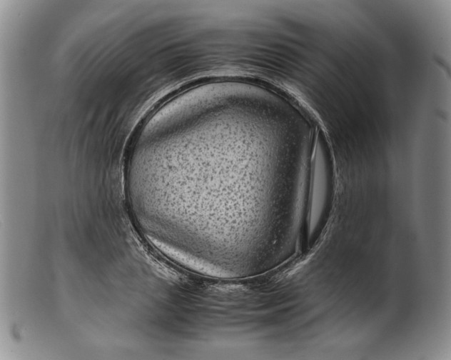 X0000099430837200805231651