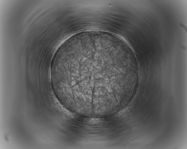 X0000099430839200805231651