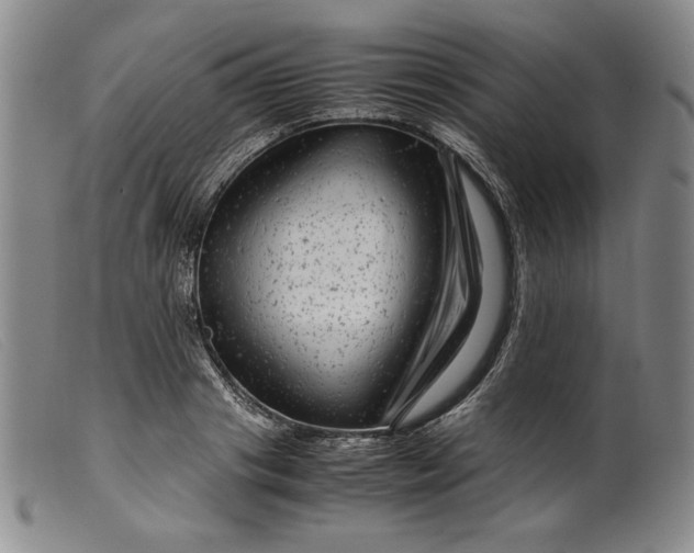 X0000099430841200805231651