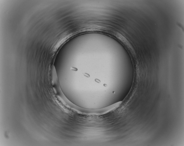 X0000099430842200805231651