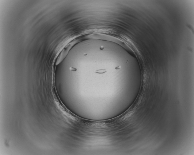 X0000099430844200805231651