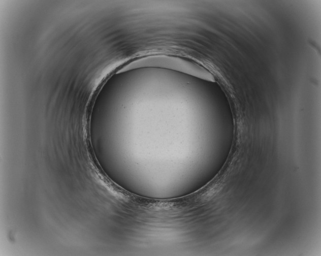 X0000099430846200805231651