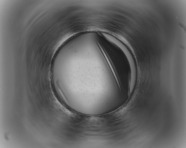 X0000099430847200805231651