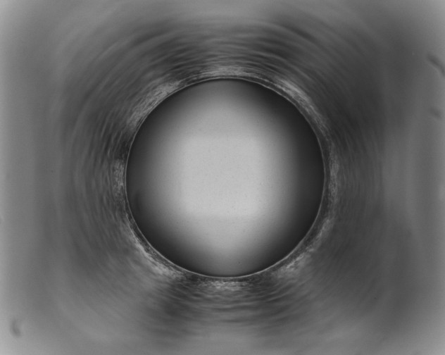X0000099430849200805231651