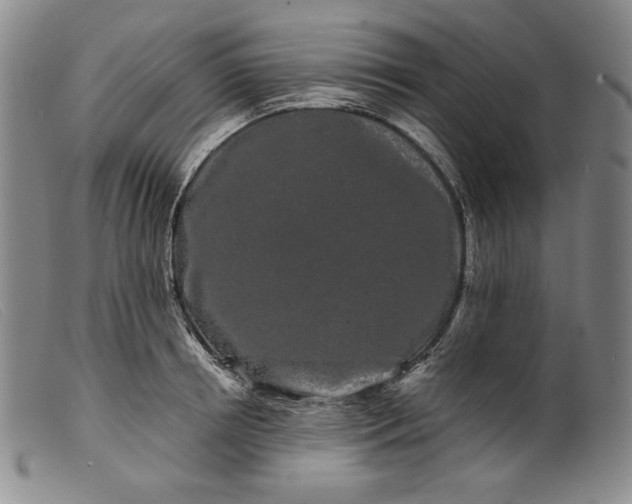 X0000099430850200805231651