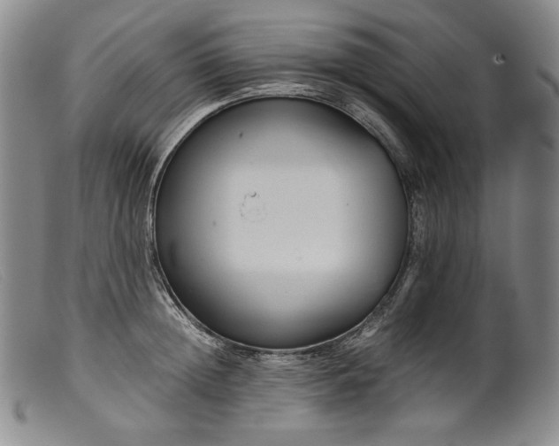 X0000099430852200805231651