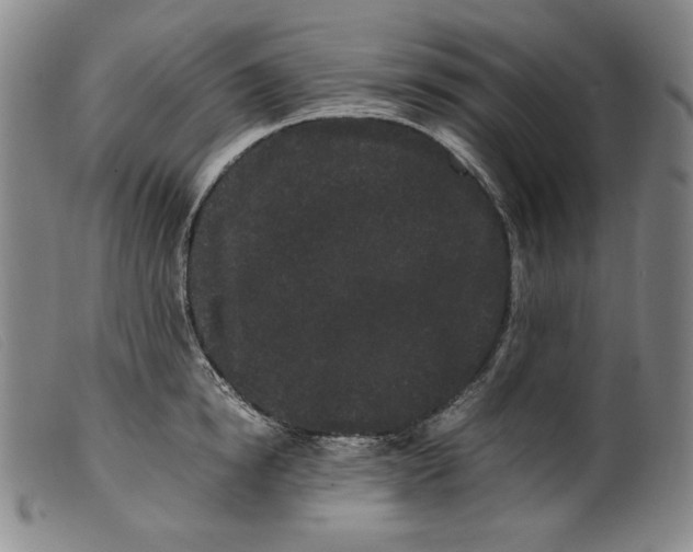 X0000099430854200805231651