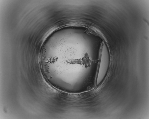 X0000099430855200805231651