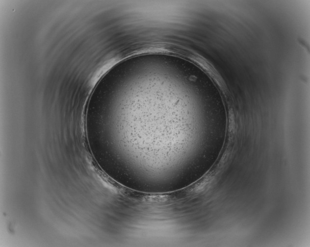 X0000099430858200805231652